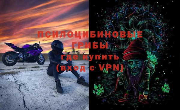 мет Бородино